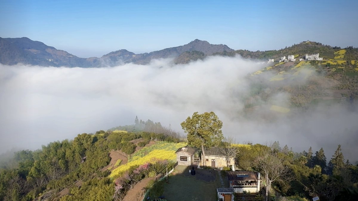 joshu_wil44_1a8's tweet photo. Chasing morning vibes at the mist-shrouded Puluan Peak, wrapping in a soft velvet blanket while the valley’s quiet spreads! https://t.co/uItuBzT5gS