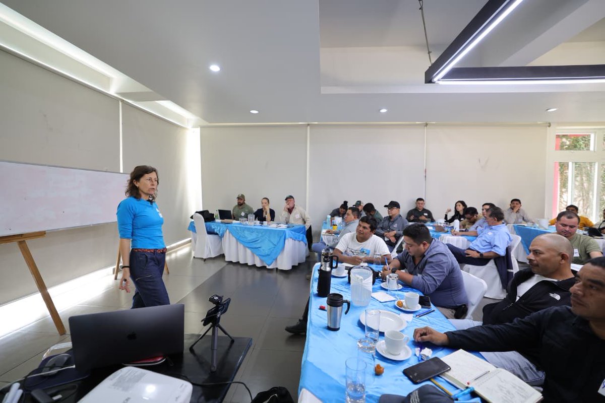 MagaGuatemala's tweet photo. El Programa Suelos y Agua para el Futuro fortalece conocimientos para mejorar el uso del agua en el campo. Un grupo de 50 técnicos de esta cartera y otras instituciones reciben capacitación presencial con la especialista mexicana Raquel Gómez, de Máshumus.
La formación se realiza en el Club La Aurora y tendrá una fase práctica en la Finca San Agustín Las Minas, Villa Canales. El enfoque está en mejorar los trazos de siembra y el manejo del terreno para retener el agua de lluvia por más tiempo.
En la finca quedará una parcela demostrativa de sistemas agroforestales. Allí se aplicarán nuevos trazos para la siembra de café y técnicas para aprovechar mejor la lluvia. Además, los participantes practican el levantamiento de niveles y trazado de curvas de nivel con mangueras y estacas.
Los 50 técnicos fueron seleccionados entre quienes destacaron en las capacitaciones en cascada del programa. Ahora fortalecerán sus conocimientos para compartir estas técnicas con otros técnicos y productores. La formación cuenta con el apoyo de la #UICN.