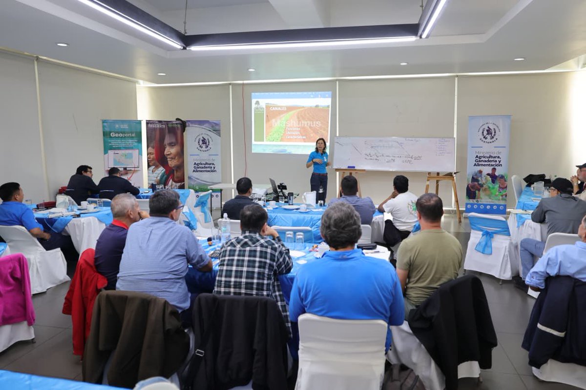 MagaGuatemala's tweet photo. El Programa Suelos y Agua para el Futuro fortalece conocimientos para mejorar el uso del agua en el campo. Un grupo de 50 técnicos de esta cartera y otras instituciones reciben capacitación presencial con la especialista mexicana Raquel Gómez, de Máshumus.
La formación se realiza en el Club La Aurora y tendrá una fase práctica en la Finca San Agustín Las Minas, Villa Canales. El enfoque está en mejorar los trazos de siembra y el manejo del terreno para retener el agua de lluvia por más tiempo.
En la finca quedará una parcela demostrativa de sistemas agroforestales. Allí se aplicarán nuevos trazos para la siembra de café y técnicas para aprovechar mejor la lluvia. Además, los participantes practican el levantamiento de niveles y trazado de curvas de nivel con mangueras y estacas.
Los 50 técnicos fueron seleccionados entre quienes destacaron en las capacitaciones en cascada del programa. Ahora fortalecerán sus conocimientos para compartir estas técnicas con otros técnicos y productores. La formación cuenta con el apoyo de la #UICN.