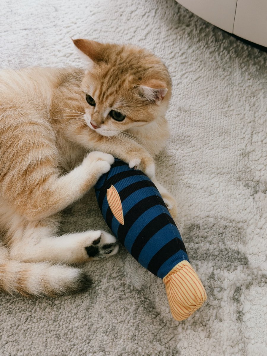 LucyBrookstfq's tweet photo. I will be ok but I have the fight of my life on my hands!! I love you all!! ❤️❤️ https://t.co/0jgQ1krlB4