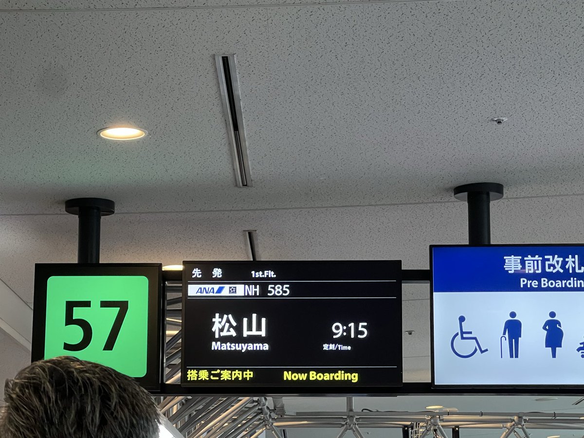 sompo_japanda's tweet photo. 全身タイツの人同じ飛行機で爽 https://t.co/PCWLLgU5Di