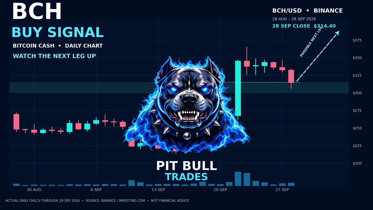 Pitballtrades's tweet photo. 🐂 $BCH BUY SIGNAL

Bitcoin Cash made a strong move higher and is now pulling back toward the $300–315 zone. I’m watching for that area to hold before the next potential leg up. ⚡

#BCH #BitcoinCash #Crypto #PitBullTrades

Not financial advice. https://t.co/dYvfcmAPLV