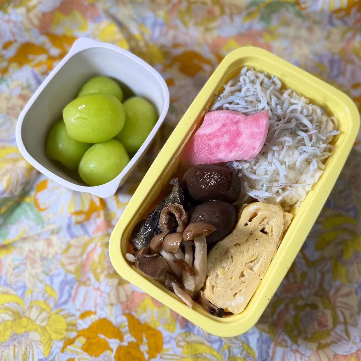 ogiwaka's tweet photo. おはようございます
今日は一日中雨なんですってね

今日の子どものお弁当
しらすご飯
温海かぶ
だし巻き卵
ナスと貝ひもの味噌炒め
玉こんにゃく
しめじ

水菓子にシャインマスカット

（地味弁当は滋味弁当ということで…） https://t.co/i2DIs2pi3H