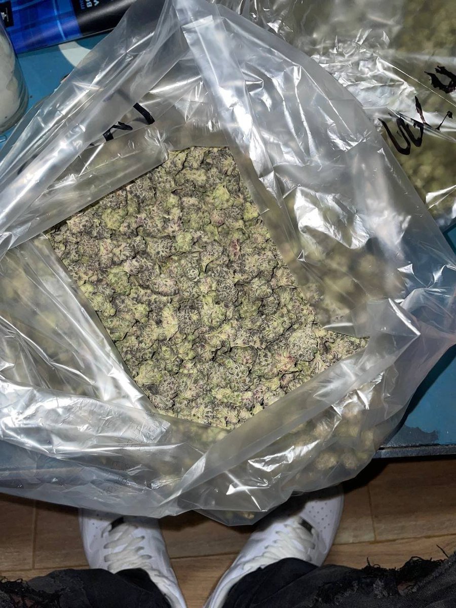 JimBelushiOre's tweet photo. Grapes &amp; Cream (J3A1-A3) licensed 
$60/Q
$100/H
$150/Z
$250 QP
$450 HP
$700/P
  We ship across the the United States and Europe.
DM for our menu https://t.co/y2oFR1iKaY