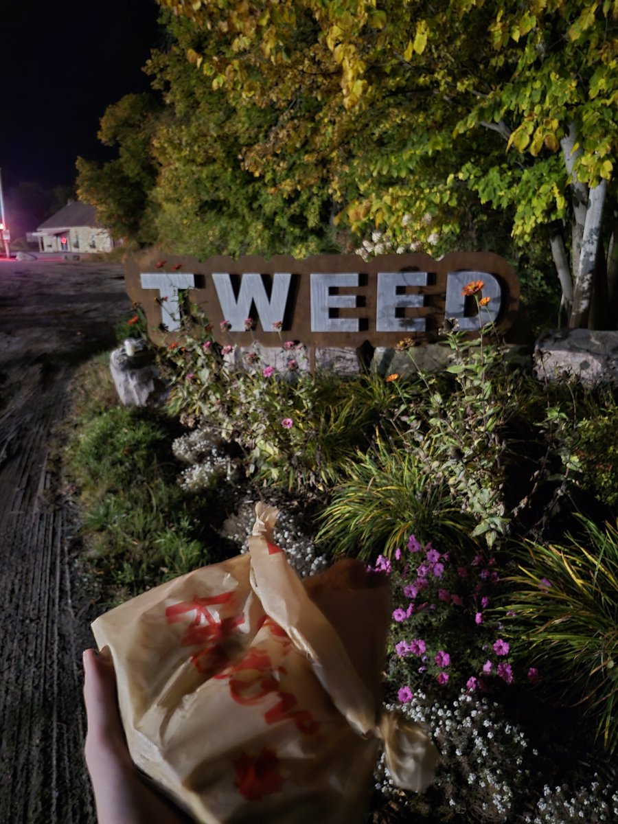 FullOfToothless's tweet photo. Now im actually at Tweed with grill cheese #Tweed https://t.co/sNgnpnEMui