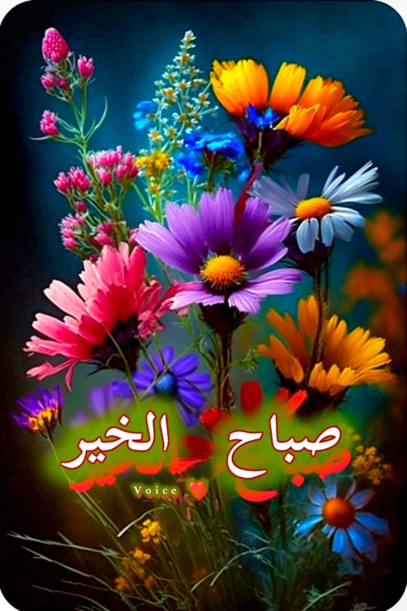 TZM_Zamzama's tweet photo. السلام علیکم ورحمۃ اللہ وبرکاتہ 

صبح بخیر
 
یا اللہ رب العزت، ہماری تمام پریشانیوں، مصیبتوں، غموں اور بیماریوں کو دُور فرما، ہم سب کو جسمانی، روحانی، ذہنی، قلبی سکون، صحت اور تندرستی عطا فرما، اور ہمارے تمام صغیرہ و کبیرہ گُناہ معاف فرما۔
   
آمیـــــــــــــن ثم آمیـــــــــــــن