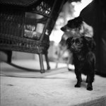 Photo by Renee Nickolas (@ReneeNickolas)