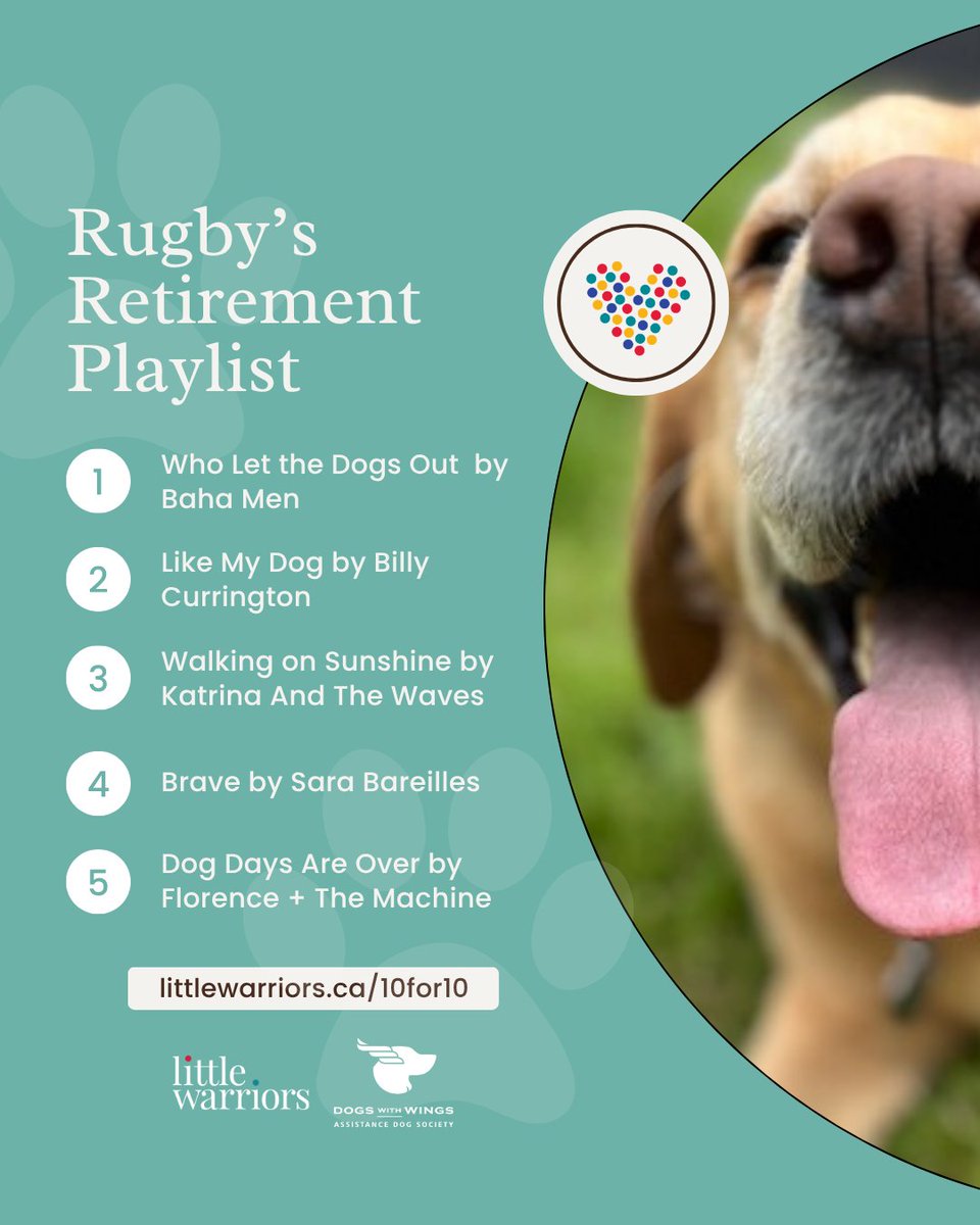 LittleWarriors's tweet photo. Meet Rugby Monday: if DWW Rugby could pick the soundtrack to his retirement, this is it. 🎶

He's turned 10, and the vest is coming off for good. Celebrate his retirement with a $10 gift - https://t.co/rRECs2d4Cr. #10for10 https://t.co/soBl3fQ2wE