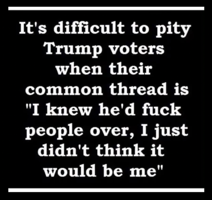 A black image with white text reading: 'It's difficult to pity Trump voters when their common thread is "I knew he'd fuck people over, I just didn't think it would be me"'