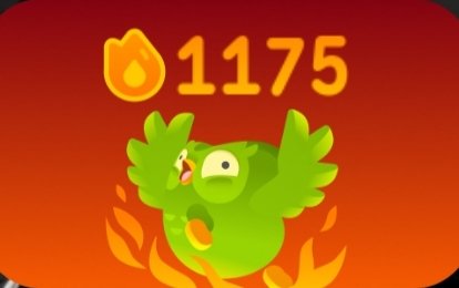 bigj9rq's tweet photo. i'm BILÍNGUE!!! https://t.co/DXs5fKhrsH