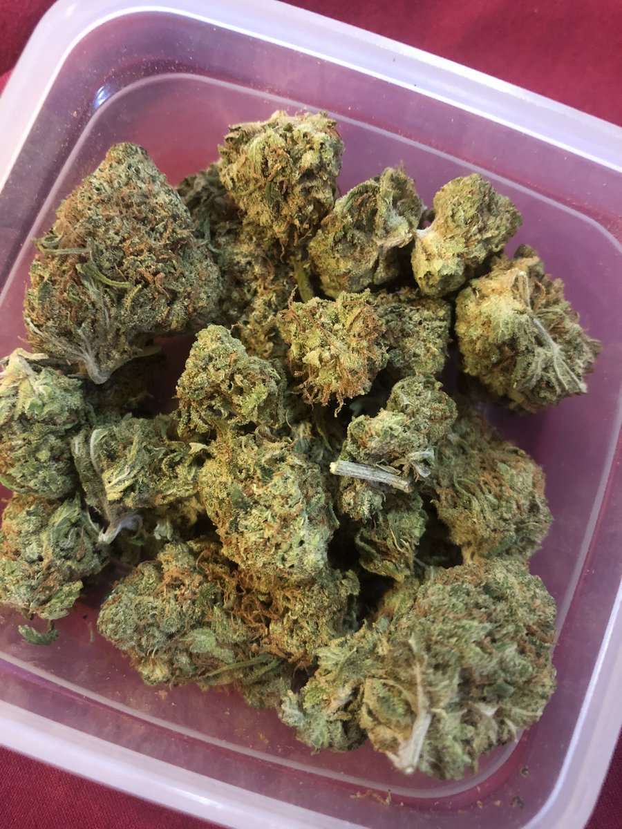 JimBelushiOre's tweet photo. Is this worth $50 in your area where you live? https://t.co/g0PSSKKXWT