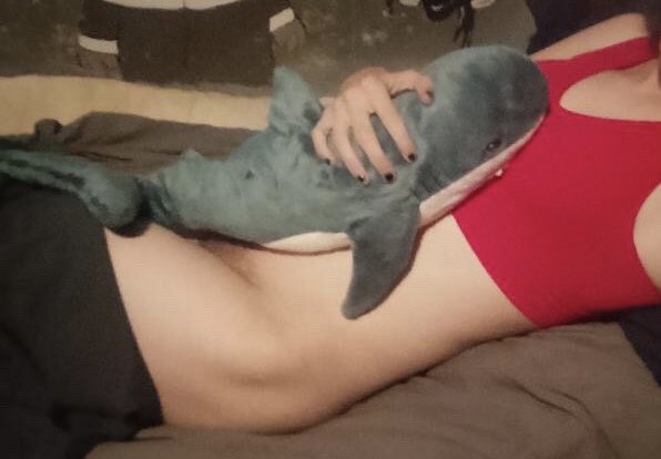 Zero_Gam3's tweet photo. My camera quality’s so bad, I need a new phone 😔
But anyways have some cute blahäj pics I took today <3 

#nsfwtwtًً #transnsfw #nsfw #nsfwtwt #trans #enby https://t.co/4YsFWw4Wuc