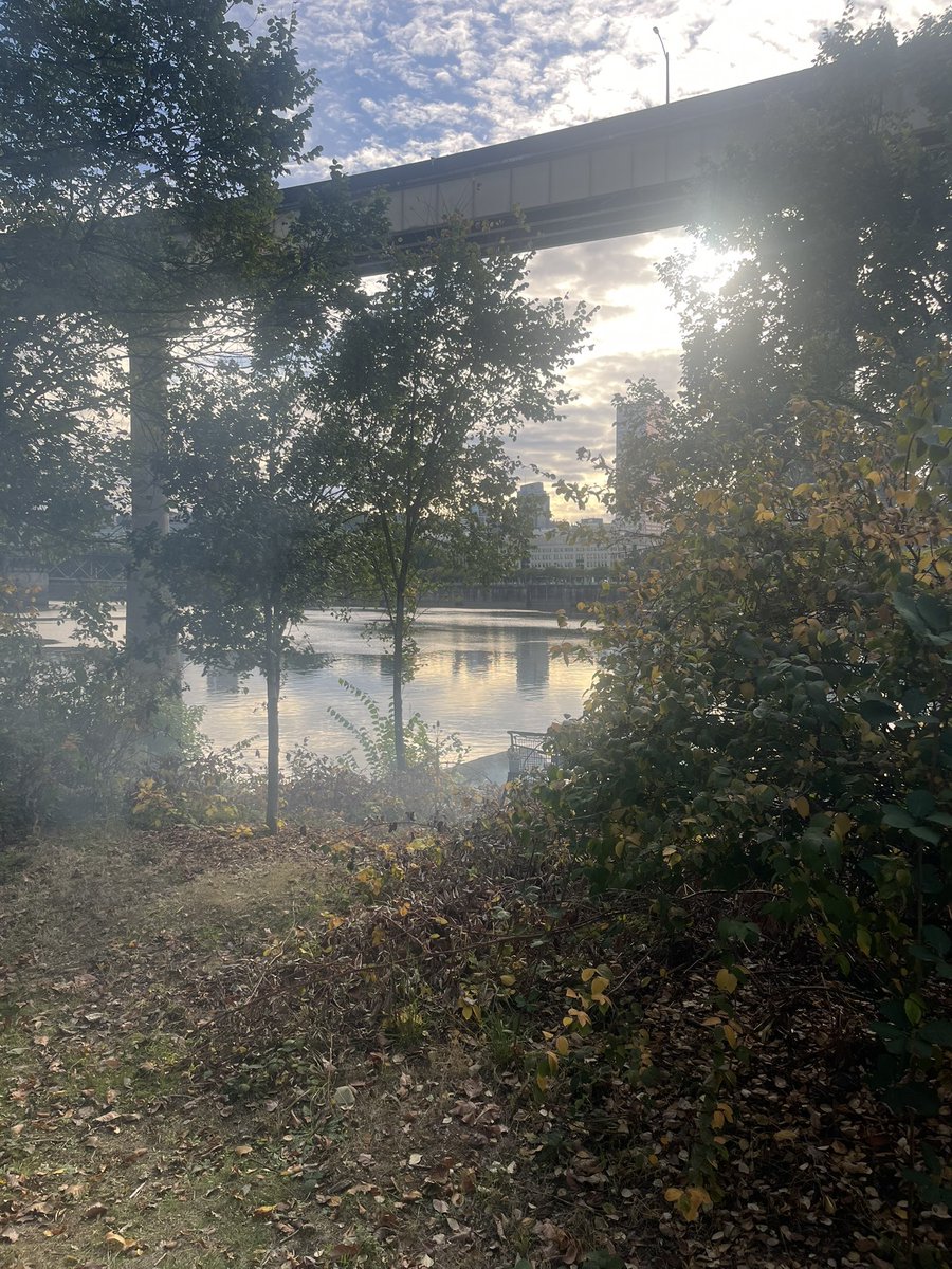 CaraCasey's tweet photo. @PDXFire smoke coming out on the east side of the esplanade https://t.co/9IWbVgA4Wg