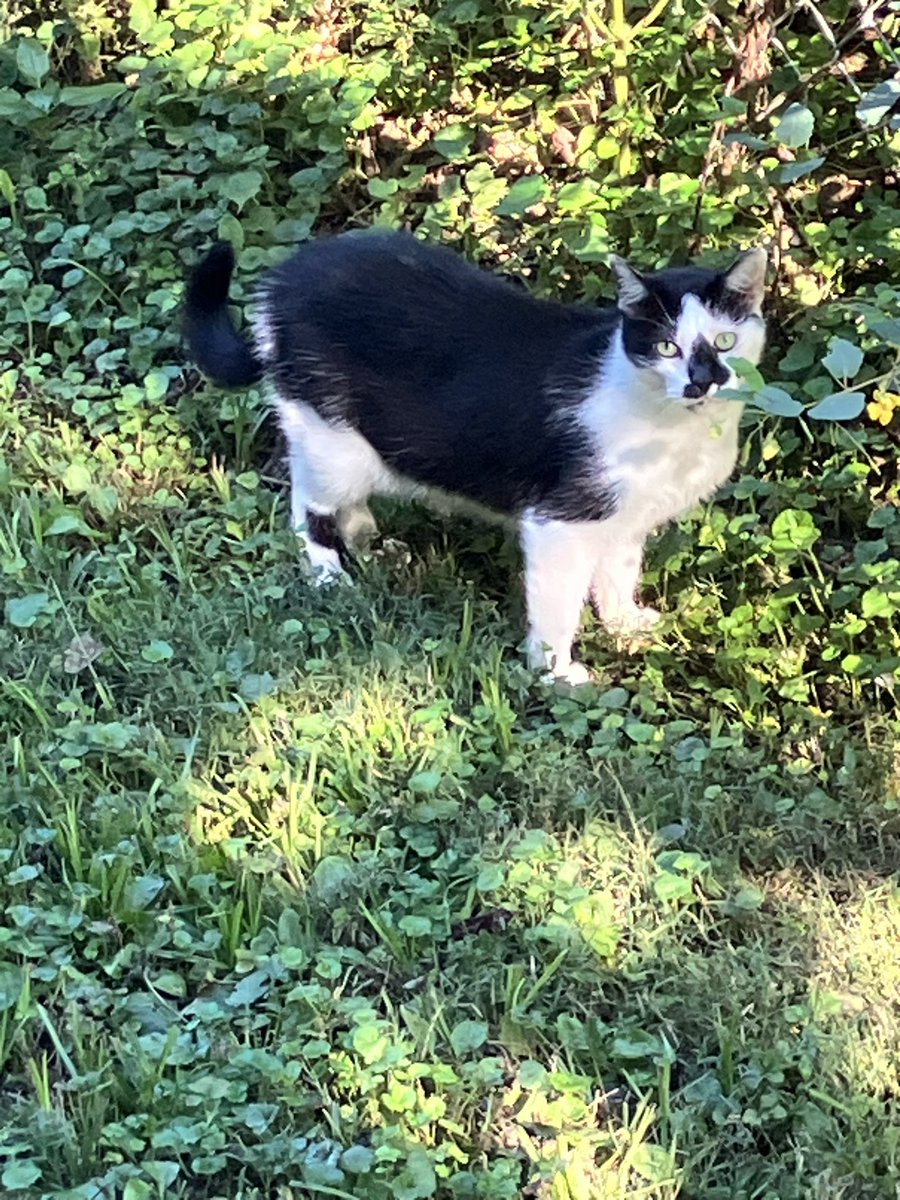kferdinandddd's tweet photo. @imsohungrydori what is bijou doing here https://t.co/JRF9bRUrwi