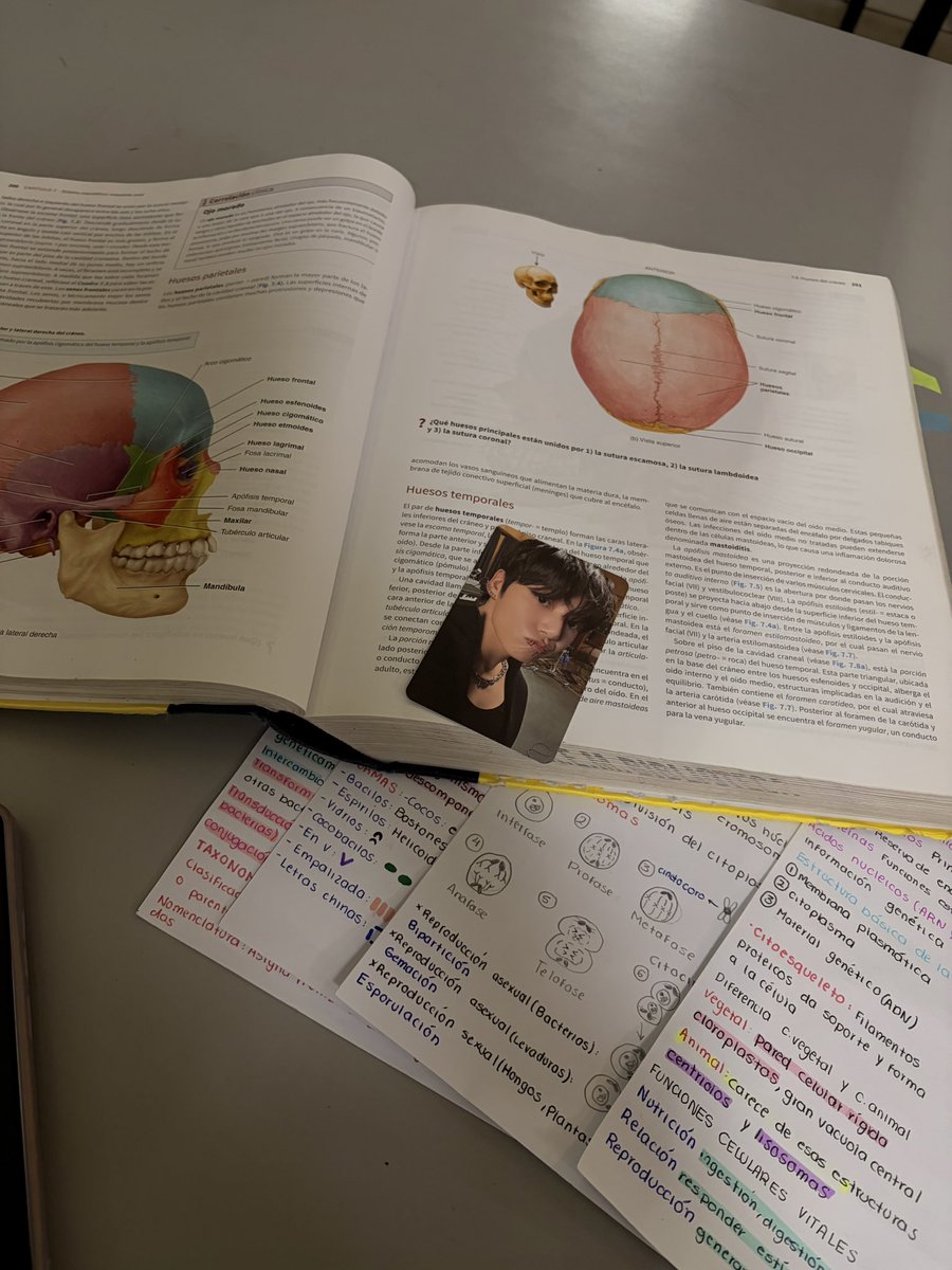 mygcalmanie's tweet photo. romantizando mi estudio con koo https://t.co/Fk40bJX2m7
