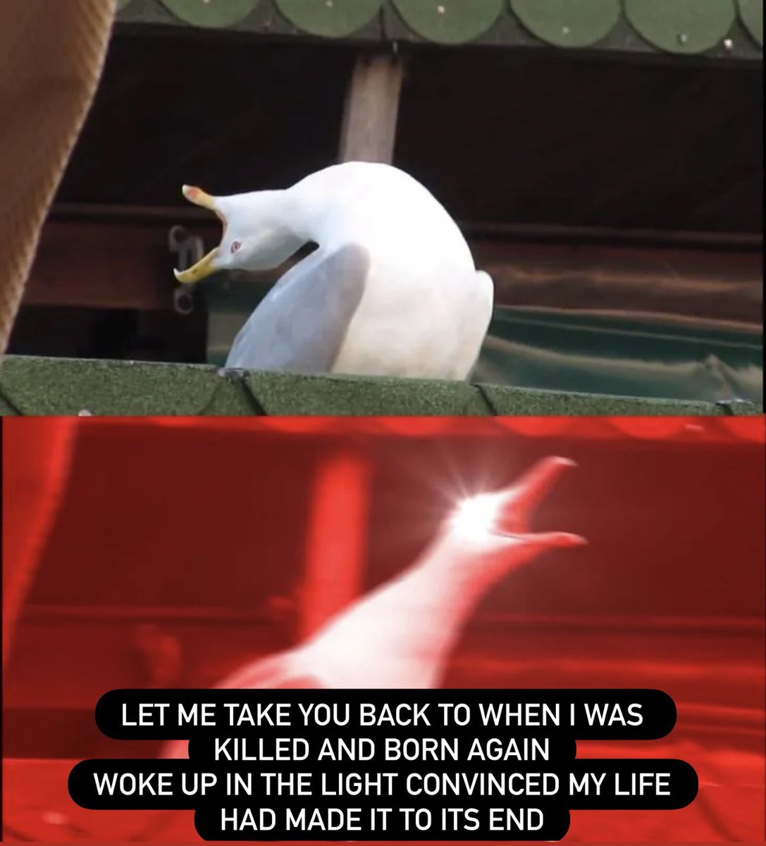 badomenspost's tweet photo. me at random times throughout the day https://t.co/SFhmZxtRa4