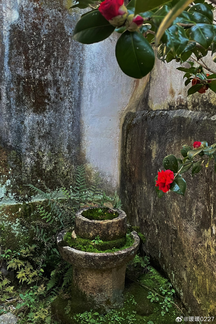 janellera_9_0d4's tweet photo. [Today I climbed up to the old pavilion by the river, left a note in the mossy crevice, and the lingering fragrance of wild flowers filled the air—what a quiet, beautiful moment!]， https://t.co/BM0P04K96G