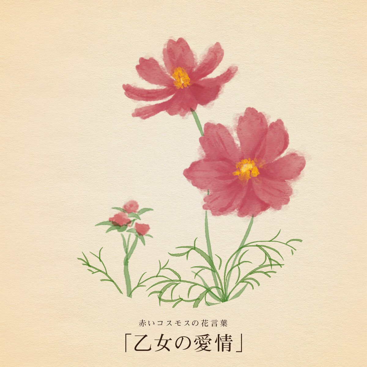 hanacotoba_jp's tweet photo. きょう10月6日は
国際協力の日
役所改革の日
天むすの日
とろ～りの日
夢をかなえる日
トムの日
どろソースの日
登録販売者の日
石油の日
とくしまNAKAドローンの日
メディカルスパトロンの日
国際ボランティア貯金の日

誕生花は赤いコスモス
花言葉は「乙女の愛情」 https://t.co/jvRVDFCOR1