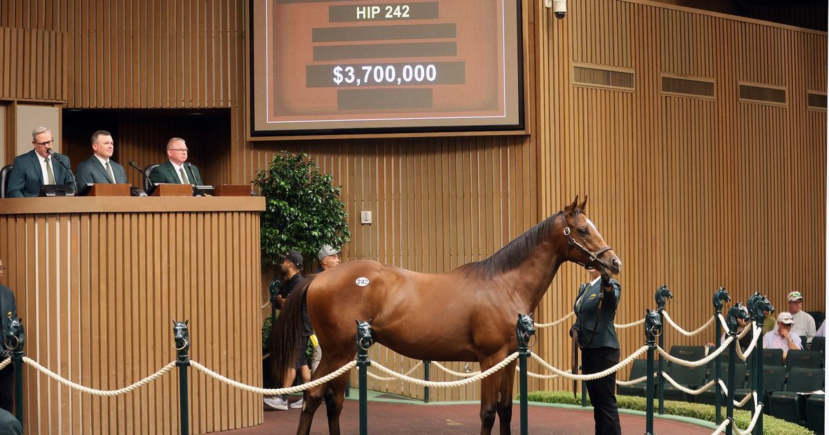 HorseOracleAI's tweet photo. Keeneland's September Yearling Sale is now the highest-grossing Thoroughbred auction ever: $536.7M through the ring, a record 70 yearlings at $1M+, and a $3.7M Into Mischief colt on top. Average and median also hit records. #HorseRacing
https://t.co/091qJtAABQ https://t.co/erlvTYhwRG