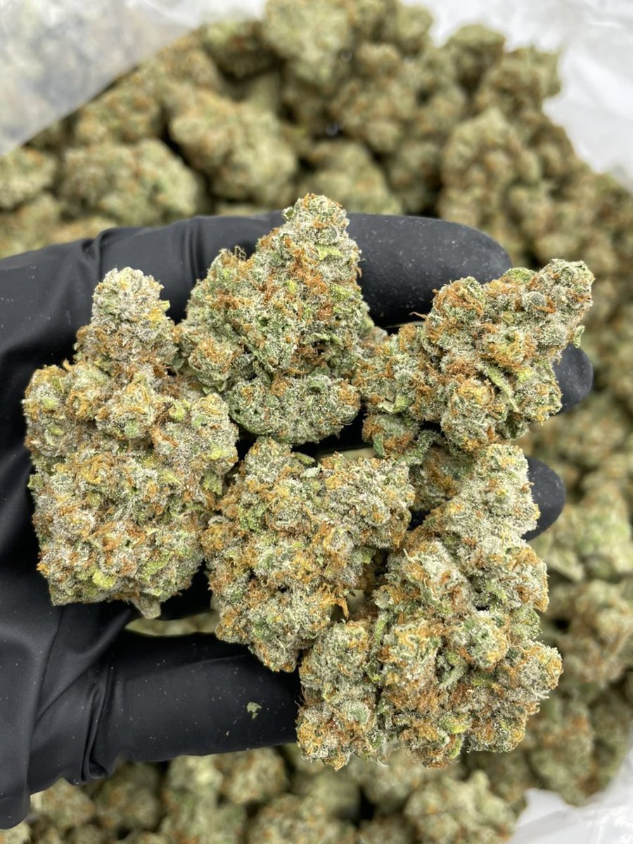 vault_green1's tweet photo. Garlic fruit 
 #atl #atlanta #gwinnett #atlplug #atlfreaks #za #mobile #duluth #lawrenceville #norcross https://t.co/JWyrDCk2Jo