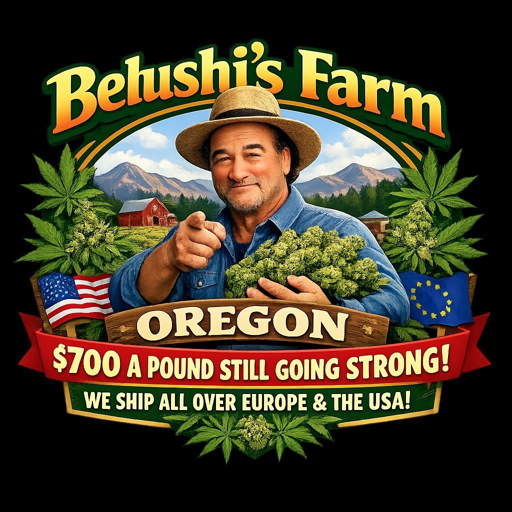 JimBelushiOre's tweet photo. I and my team are very proud of what we give out to the world..
Grab a pound for $700. Send a DM to get our menu https://t.co/t2FXLOv5c4