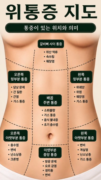 1114's tweet photo. 위 통증 지도 https://t.co/GZfmxFDQF1