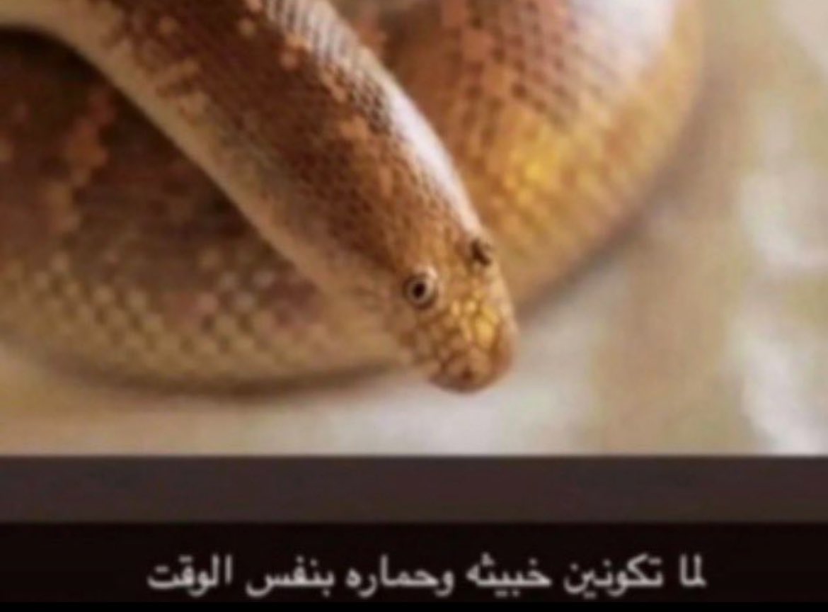 aat0f's tweet photo. كبشرت الشات وارسلتها لنفس الشخص https://t.co/tK0k4i4YSL