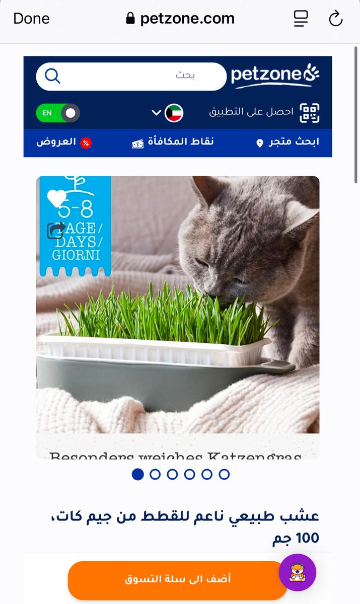 rashidalmethen's tweet photo. بسبب الحراره العالية ظلت القطط داخل البيت طول الصيف ولم تخرج للحديقة وهي متعودة تاكل بعض الحشائش من وقت لآخر حتى تتقيأ 

ولذلك اعطيتهم اليوم بعض الحشائش لتنظيف الامعاء ولانها تريحهم 

ما هي الأسباب الرئيسية التي تجعل القطط تاكل العشب أحيانا لتتقيأ ؟

التخلص من كرات الشعر: تبتلع القطط فراءها أثناء تنظيف نفسها

وتساعد الألياف الخشنة في العشب على تهيج المعدة ودفع الفراء للتقيؤ 

ويفضل قص شعرها حتى لا يزيد ابتلاع الشعر اثناء تنظيف نفسها 

عسر الهضم: تعمل الحشائش كملين طبيعي أو محفز للتخلص من اضطرابات المعدة الخفيفة

صعوبة الهضم: لا تمتلك القطط الإنزيمات الكافية لهضم النباتات مما يجعل العشب يثير معدتها ويؤدي إلى خروجه بالتقيؤ

وقد يساعد التقيؤ كذلك في دفع بعض الطفيليات خارج الجسم

ما هي الاعشاب الصحية التي نقدمها لهم ؟

عشب القطط المزروع من الشوفان أو القمح أو الشعير وبكمية قليلة وتحت المراقبة ويباع في محلات القطط petzone 

وهل يجب الدمج بين الاكل الجاف والرطب ؟

نعم، ينصح بشدة بالجمع بين الأكل الجاف والرطب للقطط

حيث يعتبر هذا الدمج (أو التغذية المختلطة) من أفضل الأنظمة الغذائية التي توفر لها فوائد صحية متكاملة