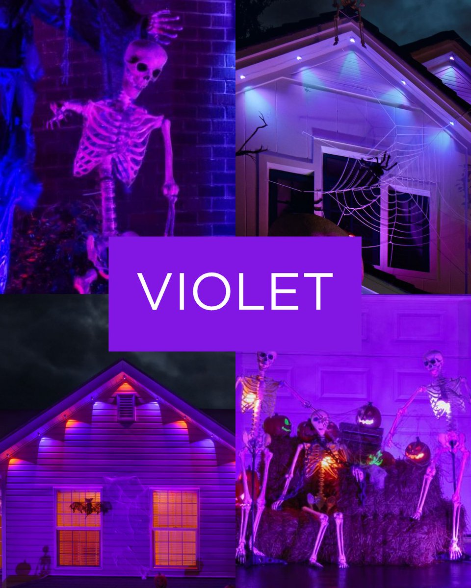 GoveeOfficial's tweet photo. What are your Halloween colors this year? 🎃
16 million colors. Endless ways to DIY with Govee Outdoor Lights.
Which one’s your vibe? 
#GoveeOutdoorLights #GoveePermanentOutdoorLights #HalloweenDecor #SpookySeason https://t.co/TMN3jPNu7g
