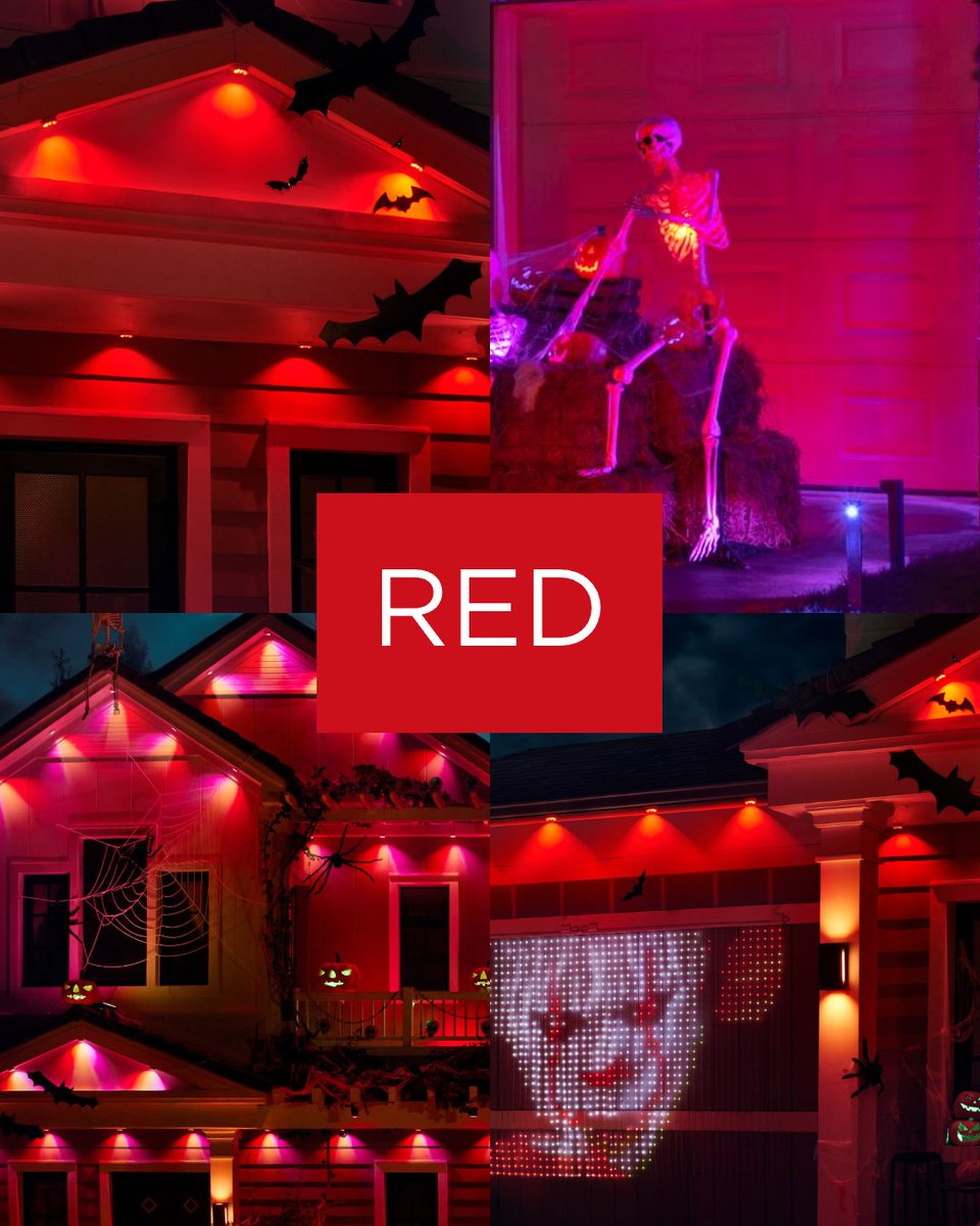 GoveeOfficial's tweet photo. What are your Halloween colors this year? 🎃
16 million colors. Endless ways to DIY with Govee Outdoor Lights.
Which one’s your vibe? 
#GoveeOutdoorLights #GoveePermanentOutdoorLights #HalloweenDecor #SpookySeason https://t.co/TMN3jPNu7g