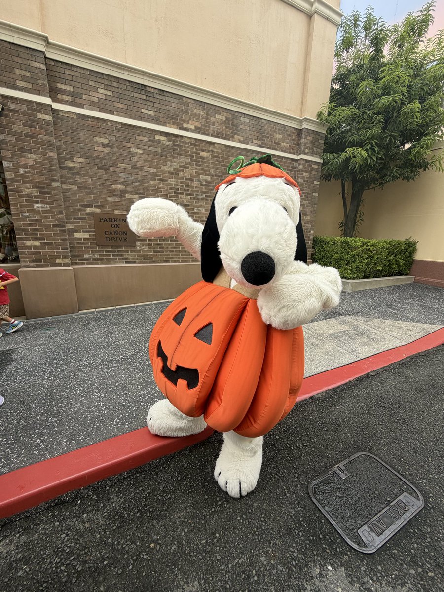 michiko44548405's tweet photo. 可愛いカボチャ大魔王🎃
#USJ
#USJファン
#peanut.#snoopy https://t.co/9KguZ77dLW