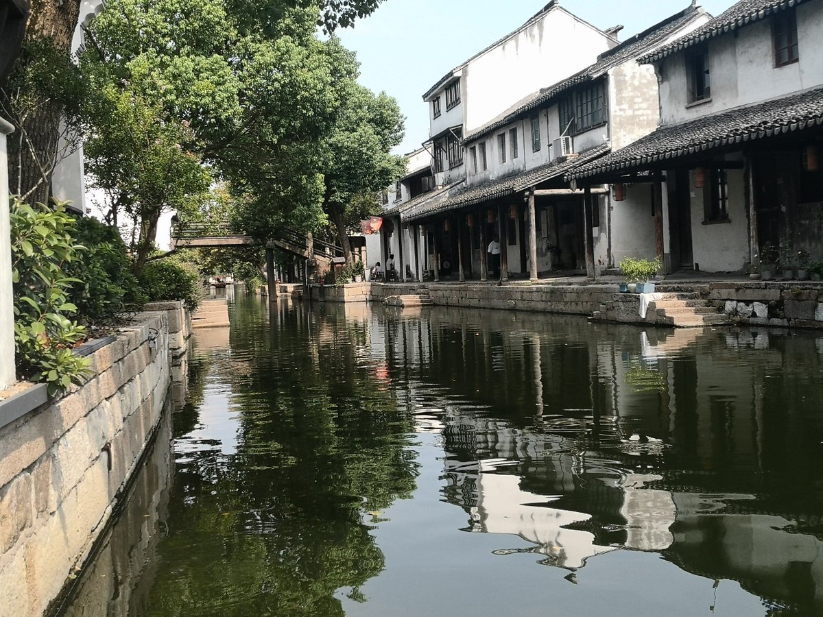 c85fbrix957's tweet photo. [Shanpo Menjing vibes in the city! A quiet corner with tall fir trees and a peaceful gateway, capturing that serene essence.]， https://t.co/hJU7g061Wx