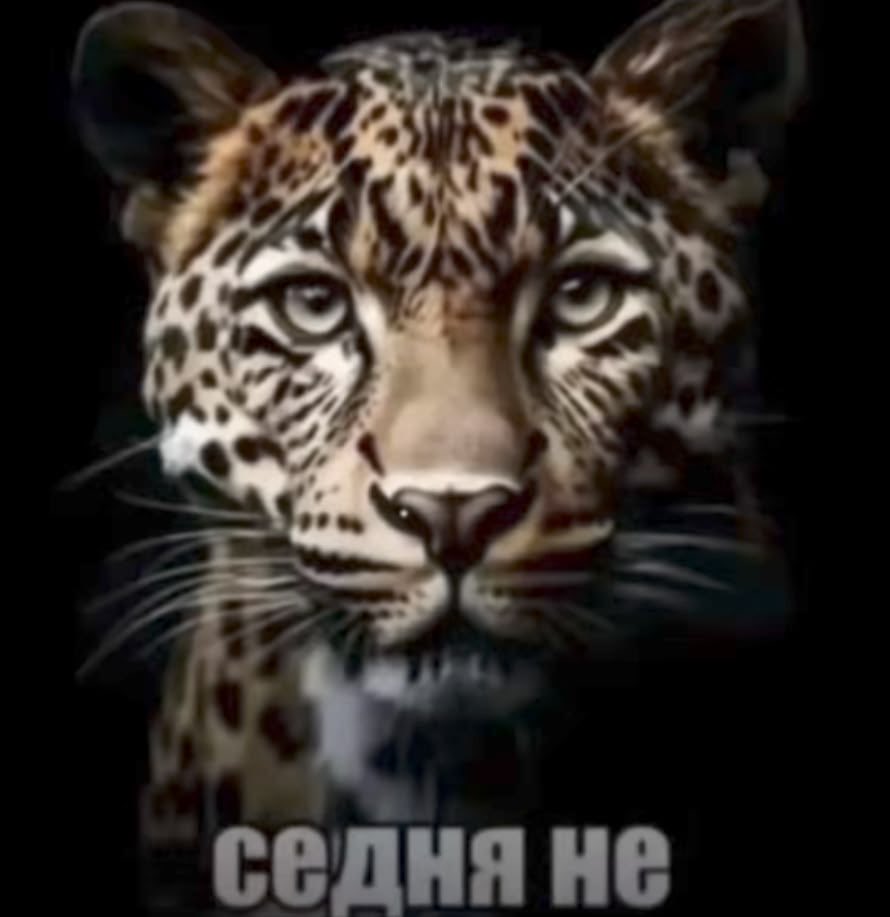 syli4kas's tweet photo. @E113U https://t.co/xI4pZDGJfJ
