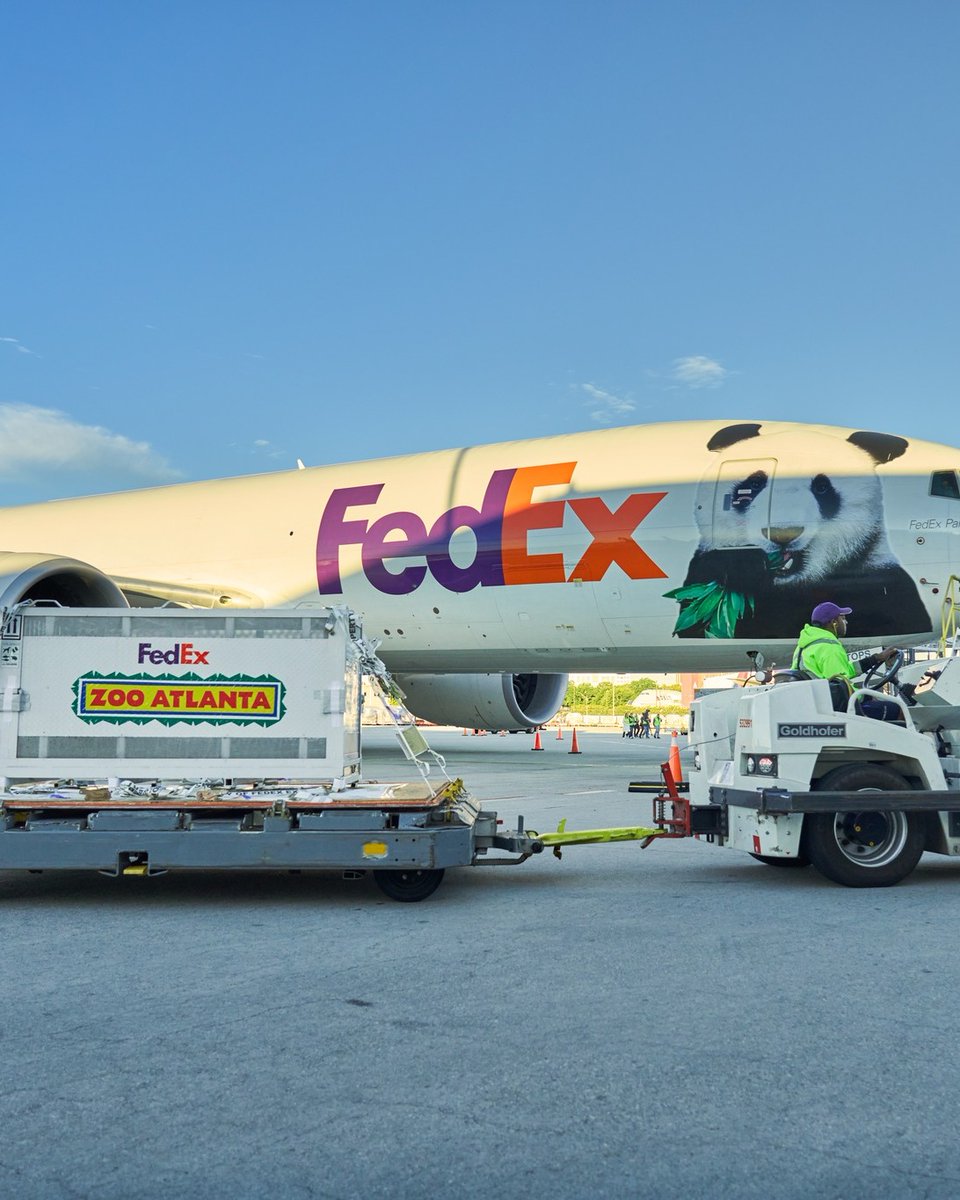 Complex's tweet photo. Two giant pandas have arrived in Atlanta aboard the "Panda Express." 🐼✈️

Ping Ping and Fu Shuang traveled 8,000 miles from China on a 16-hour flight. https://t.co/SLrwTnU2Vo