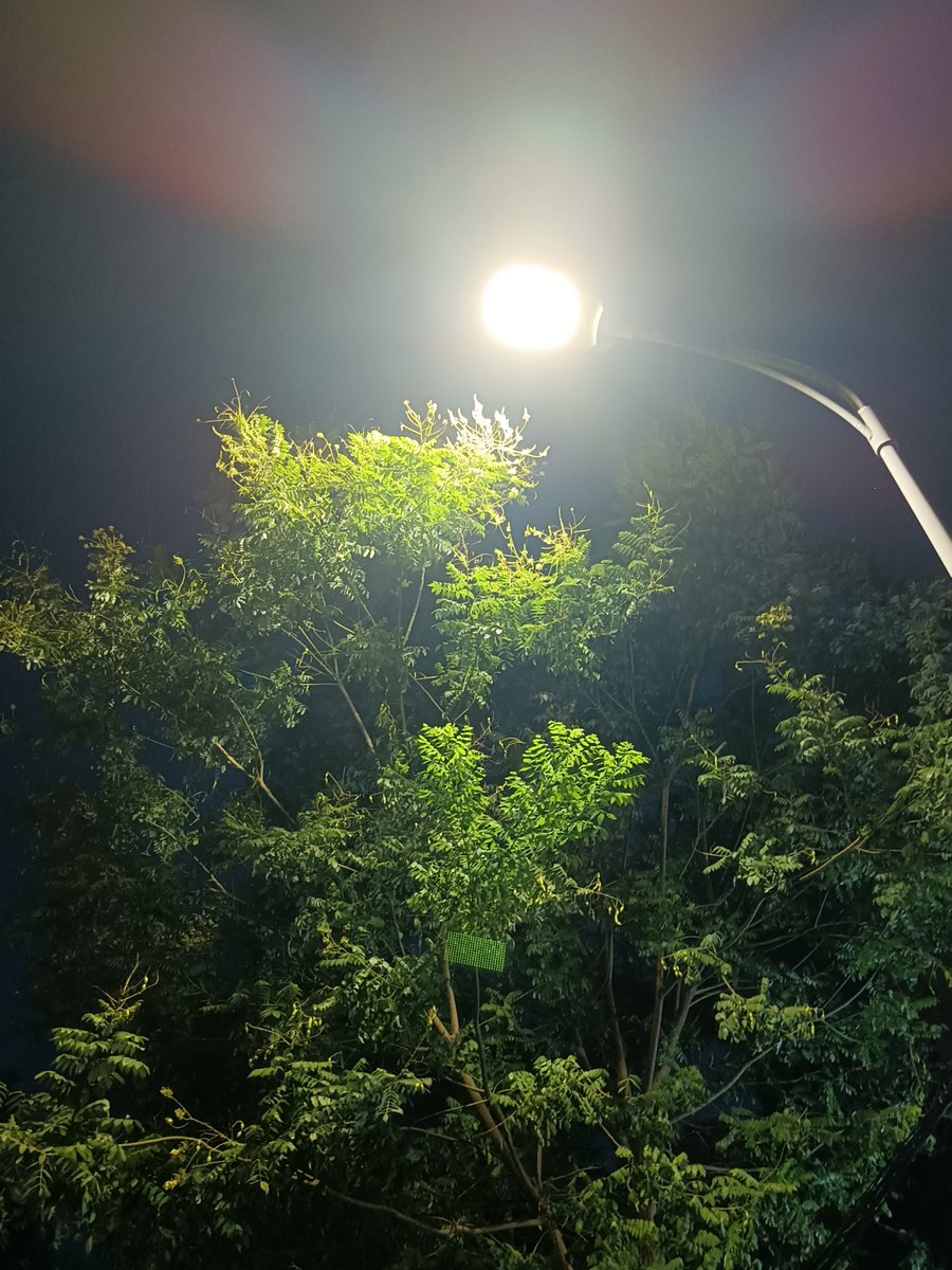 brix7r4471's tweet photo. [The night’s dark whispers leave a faint flutter in my heart—this is how we face the unseen, step by step.]， https://t.co/hZfnS0c3ae