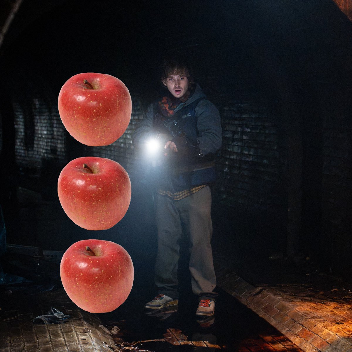 courierfall's tweet photo. ∕     i  hope  u  all  like  my  bryan  so  far,  he’s  three  apples  tall  and  very  dear  to  me https://t.co/AFGCz45xWM