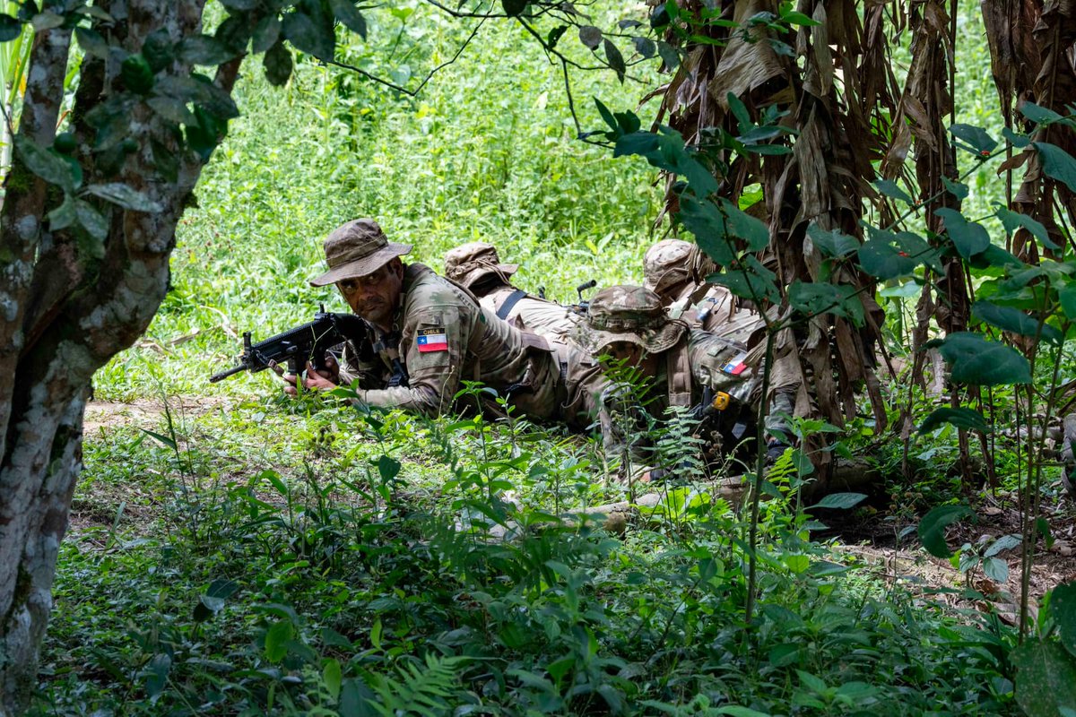 Ejercito_Chile's tweet photo. Tras casi dos semanas de entrenamiento, culminó el Ejercicio Southern Vanguard 2026, el cual se desarrolló en la Escuela de Selva del Ejército del #Perú, ubicada en Tarapoto, en la Amazonía peruana.

Esta actividad reunió a representantes de los ejércitos del Perú, Chile, Estados Unidos y de Argentina, permitiendo fortalecer los vínculos, la interoperabilidad y el intercambio de experiencias.

Conoce en que consistieron los entrenamientos en la siguiente nota web ➡️ https://t.co/TRl7jtmENg
