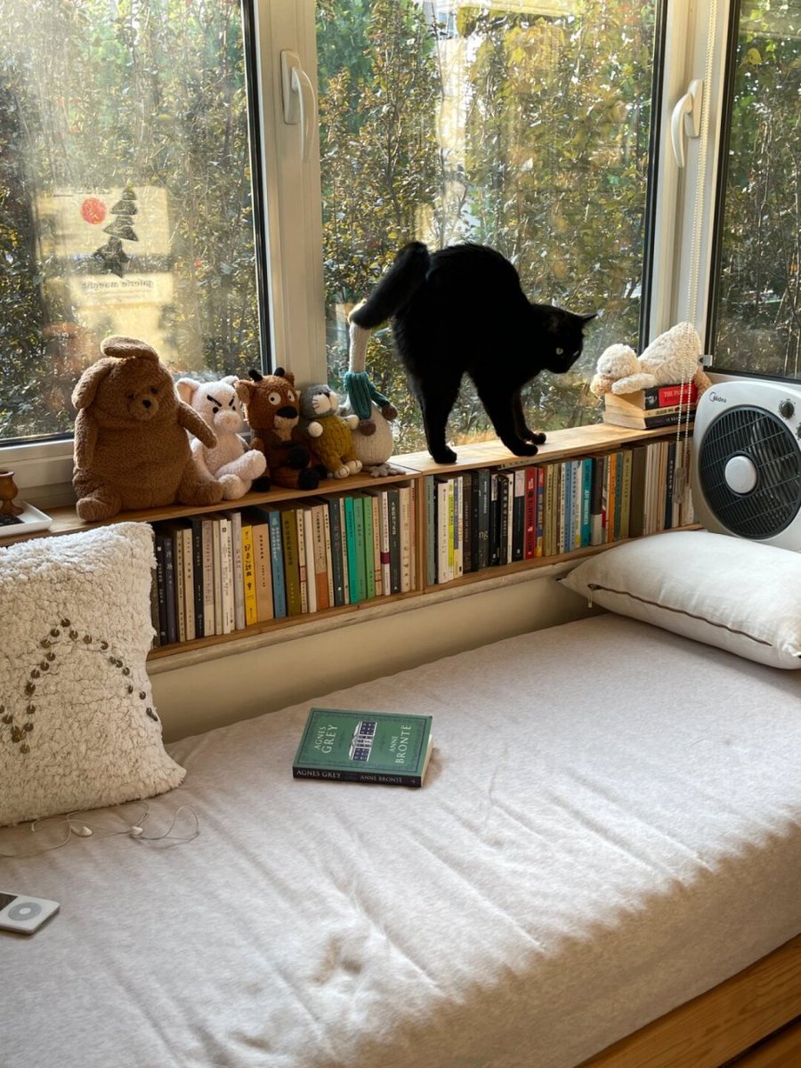 MargyWindmeyer's tweet photo. Pasé 6 meses alquilando un piso pequeo, y ahora tengo mi propio apartamento con balcón: pequeos cambios que llenan de alegría cada día. https://t.co/HxmbX3iI3w