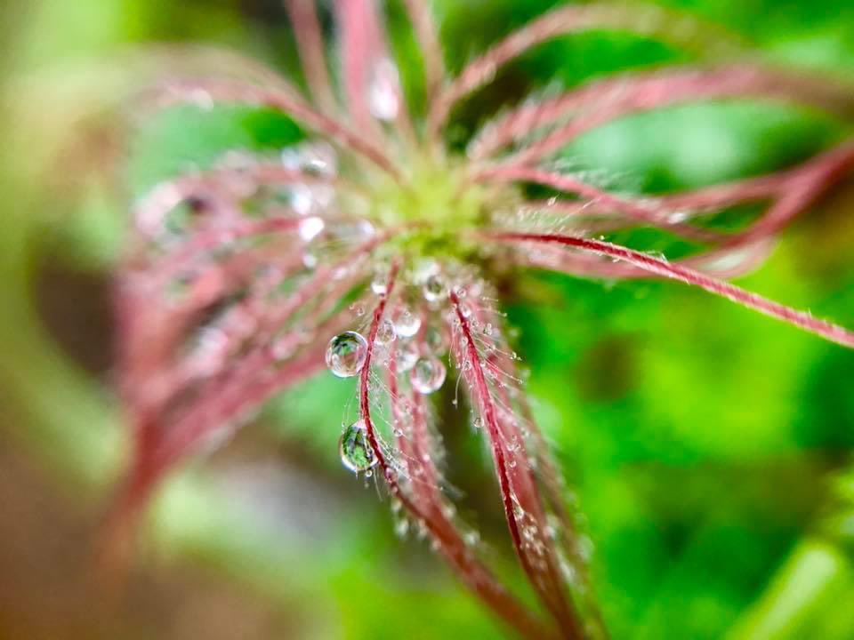 sugar_less_love's tweet photo. おはようございます
熊本市は22℃ 雨

結構激しい雨です
これから出勤ですが躊躇してしまうくらいです
22℃でも少し蒸し暑い室温で湿気が伝わってきます
これから昇降状態になりますが
地震被災のあった県南八代付近は昼まで雲がかかり続けるようです
被害がこれ以上ないように願います

#マイあさ https://t.co/w2f90D88Cs