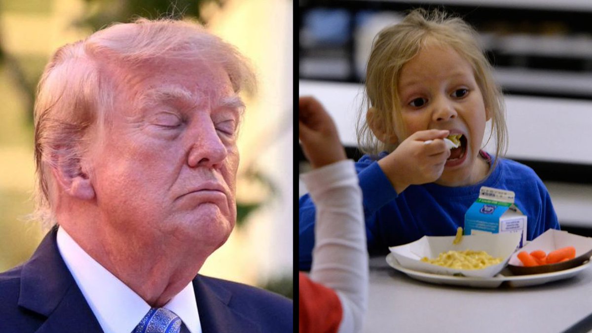 GOP__Ls's tweet photo. π¨ An estimated 1.2 million children lost SNAP food aid in the year after Republicans passed Trumpβs cuts. https://t.co/OwVs7S2HqU