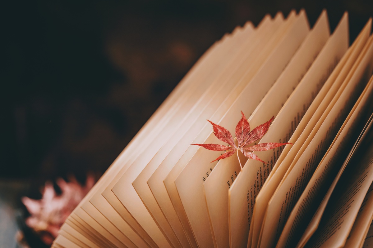 KareyGrunobu5's tweet photo. Hoy me sumerjo en un libro que me transporta a mundos desconocidos. La magia de la lectura nunca falla ， https://t.co/vGHyNc8giS