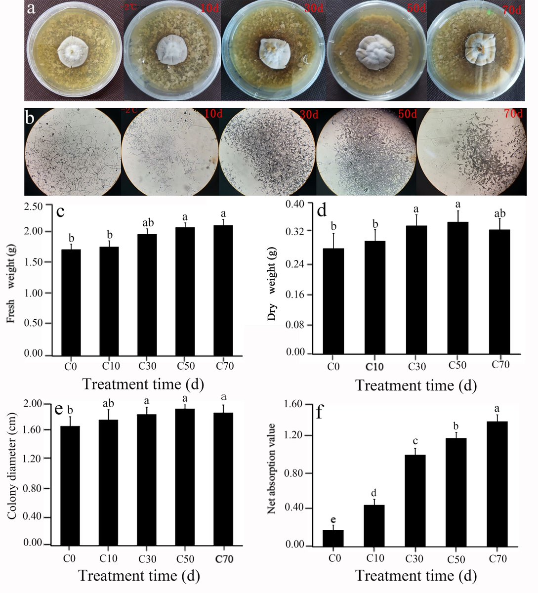 MedMushroomJrnl's tweet photo. Transcriptome-Based WGCNA Analysis Reveals the Mechanism of Cold Resistance in Chinese Caterpillar Mushroom Ophiocordyceps sinensis (Ascomycota)
https://t.co/Vns12k0in7
#Cordyceps #ColdStressResponse #Transcriptomics https://t.co/CGojVStepR