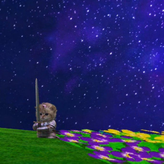 swordcatrh's tweet photo. me ready to die on a hill I discovered 30 seconds ago https://t.co/zsyE77CHC6
