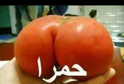 Sayed450813431's tweet photo. @Nancyka69838301 https://t.co/KYTJ58fPoY