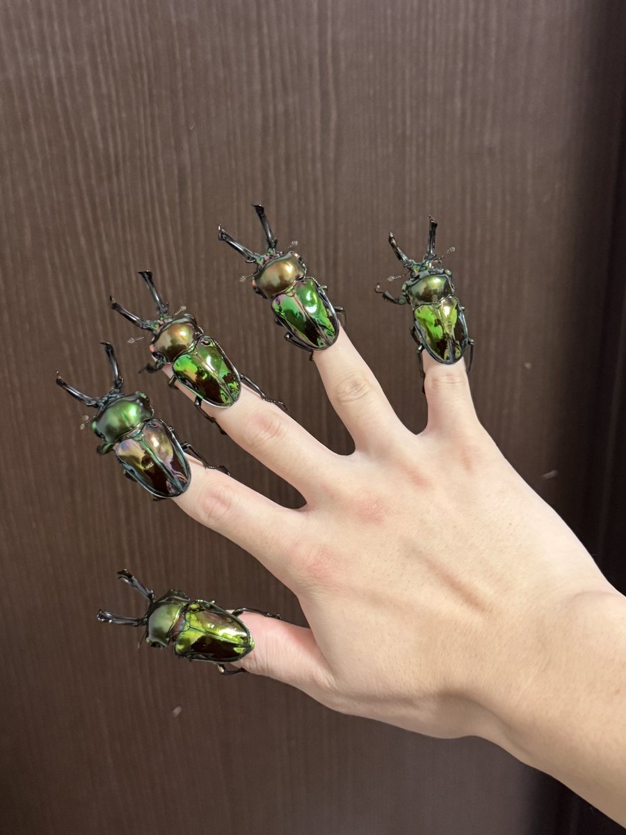 negiGR86's tweet photo. ストレスがヤバすぎて鬱クワガタになりそうだったのでクワガタネイルしました。あまりオススメはしません。
メンタルが死んでる時はふざけたことするのが1番です。
指はズタボロになりました。 https://t.co/iqgbBFXqzm