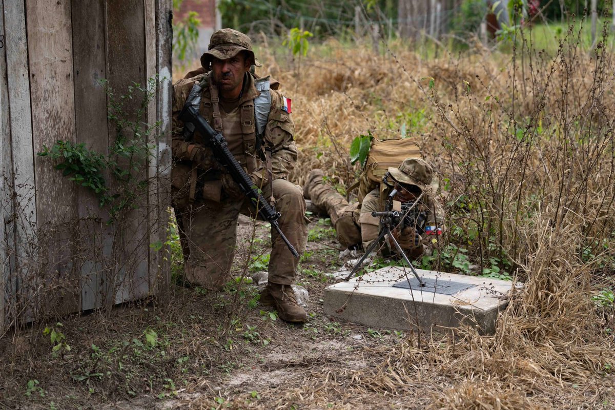 Ejercito_Chile's tweet photo. Tras casi dos semanas de entrenamiento, culminó el Ejercicio Southern Vanguard 2026, el cual se desarrolló en la Escuela de Selva del Ejército del #Perú, ubicada en Tarapoto, en la Amazonía peruana.

Esta actividad reunió a representantes de los ejércitos del Perú, Chile, Estados Unidos y de Argentina, permitiendo fortalecer los vínculos, la interoperabilidad y el intercambio de experiencias.

Conoce en que consistieron los entrenamientos en la siguiente nota web ➡️ https://t.co/TRl7jtmENg