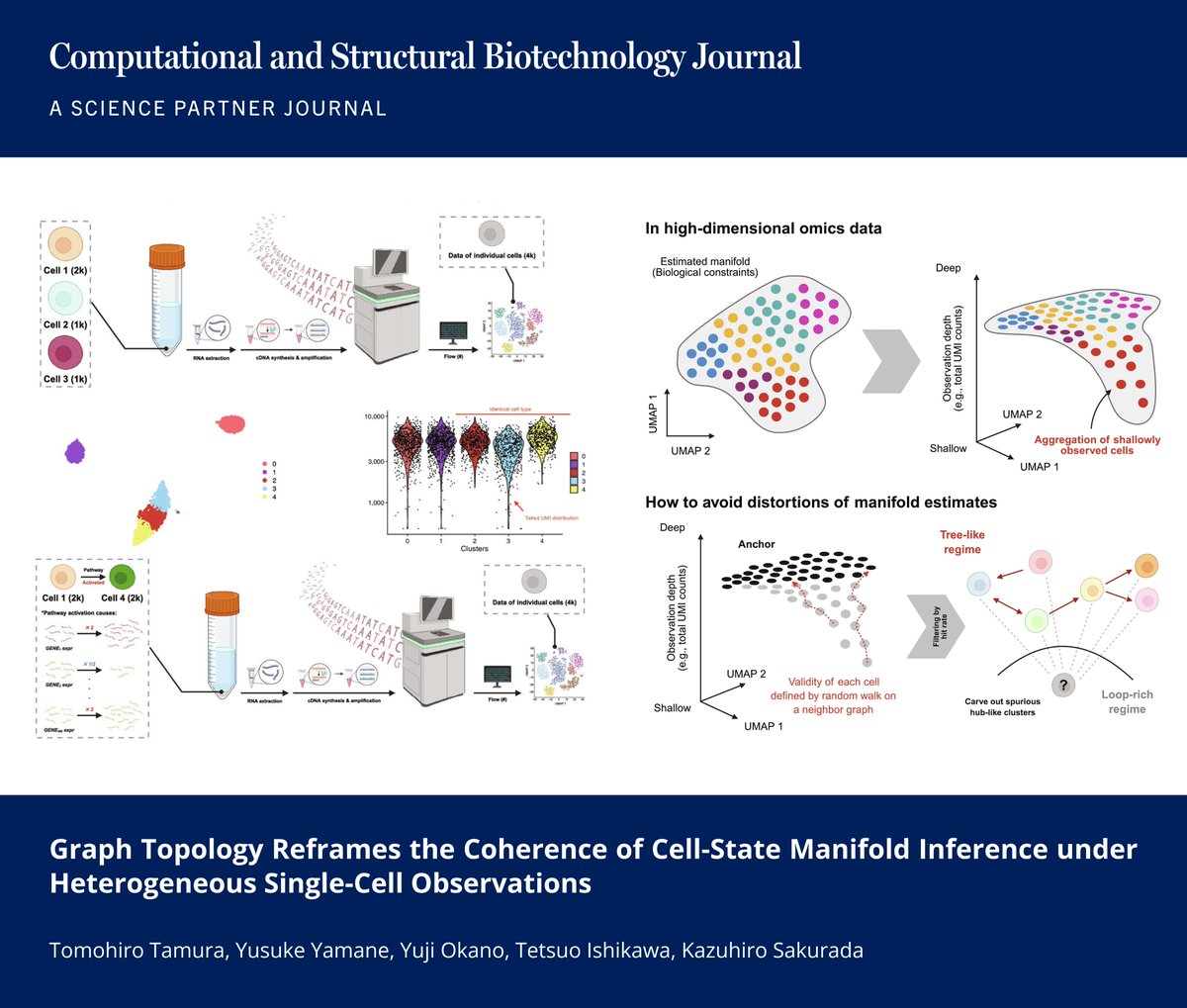CSB_Journal's tweet photo. 🔗 Graph Topology Reframes the Coherence of Cell-State Manifold Inference under Heterogeneous Single-Cell Observations. https://t.co/p8MgmIumvz

📚CSBJ - A Science Partner Journal: https://t.co/KwJ0GnNKAa

@Keio_univ_PR @JIHS2025 @riken_en @UTokyo_News_en @CSB_Journal @SPJournals https://t.co/4PbGBg18M7