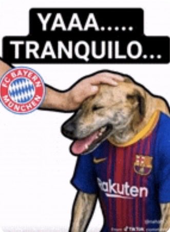 nonchalantalt's tweet photo. @malekfcbdz Genuinely the most evil and delusional fanbase in the history of sports https://t.co/lCvFaoQLoZ