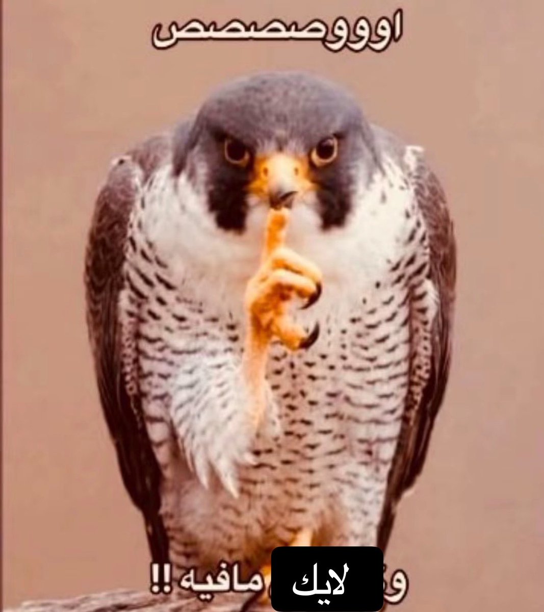 uio_lll0's tweet photo. تعبت
ماقدر ارد المواجيب حقت اللايك
بدون غش ، اذا ماعندكم تويتات لاتحطوا لايك على سوالف احد
بالله كيف اردها الحين https://t.co/qLkAPKJSk3