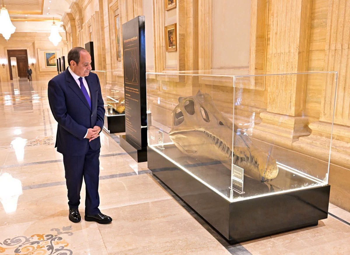 engazatmasr2020's tweet photo. الديناصور اللي ظهر في منتدى مصر للتعدين النهارده… وراه حكاية أغرب من شكله! 🦖🇪🇬

ده مش مجرد مجسم للعرض.

إنه إعادة بناء لـ Tameryraptor markgrafi، أحد الديناصورات المفترسة التي عاشت في أرض مصر قبل نحو 95 مليون سنة، واكتُشفت حفرياته في الواحات البحرية عام 1914.

لكن المفاجأة أن الحفرية الأصلية لم تعد موجودة!

بعد نقلها إلى ألمانيا، دُمّرت الحفرية خلال قصف ميونخ في الحرب العالمية الثانية عام 1944.

اللي أنقذ قصتها كان الصور والرسومات والوصف العلمي القديم.

وبعد مرور أكثر من 80 عامًا، أعاد علماء دراسة هذه المواد، ليكتشفوا أن الديناصور الذي كان يُعتقد لفترة طويلة أنه من نوع آخر، يمثل نوعًا مستقلًا أطلقوا عليه اسم:

Tameryraptor markgrafi

يعني ببساطة…

إحنا قدام إعادة بناء لديناصور مصري حقيقي عاش على أرض مصر قبل ملايين السنين، رغم أن حفريته الأصلية نفسها ضاعت في الحرب!

والأهم من قصة الديناصور أن مصر لا تختزن تحت أرضها البترول والغاز والذهب فقط…

بل تختزن أيضًا تاريخًا جيولوجيًا وحياةً كاملة تمتد لملايين السنين.

وكل اكتشاف جديد بيقول لنا إن ما نعرفه عن ثروات مصر الطبيعية والتاريخ الطبيعي لأرضها… ربما لا يمثل إلا جزءًا من القصة.

مصر ليست فقط أرض الحضارة التي عمرها آلاف السنين…
مصر أيضًا أرضٌ عمر تاريخها الجيولوجي مئات الملايين من السنين. 🇪🇬🦖